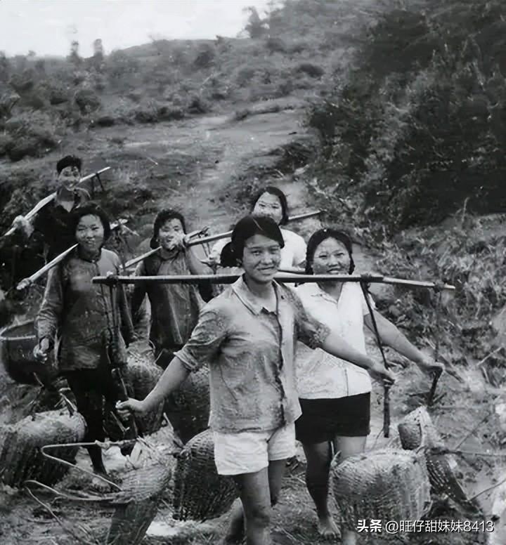關(guān)于49圖庫圖片資料的專業(yè)解析與探索，49圖庫圖片資料深度解析與探索