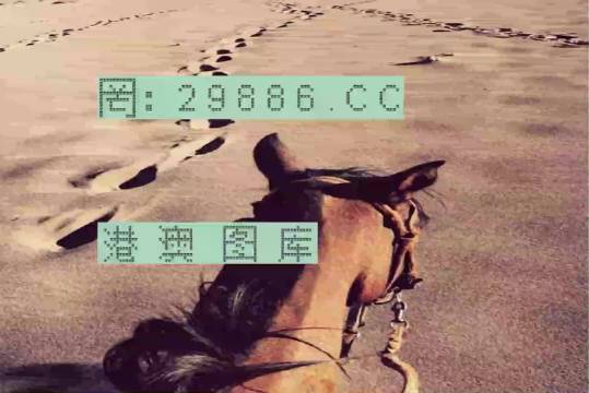 香港特馬資料王中王24期，深度解析與探索，香港特馬資料王中王深度解析與探索，第24期探索之旅
