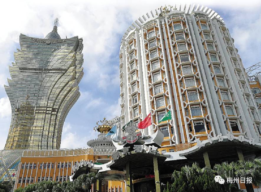 新澳門最精準——探索澳門的精準旅游魅力，澳門精準旅游魅力探索之旅