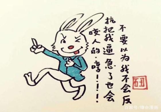 一肖不中賠多少倍，深度解析與策略建議，一肖不中賠倍深度解析及策略建議