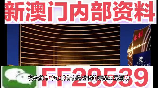 澳門今晚必開一肖，預測與策略分析，澳門今晚生肖預測與策略分析指南