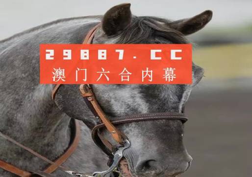 今晚澳門精準(zhǔn)一肖一馬預(yù)測，揭秘生肖與馬匹的神秘聯(lián)系，揭秘生肖與馬匹的神秘聯(lián)系，澳門精準(zhǔn)一肖一馬預(yù)測今晚揭曉