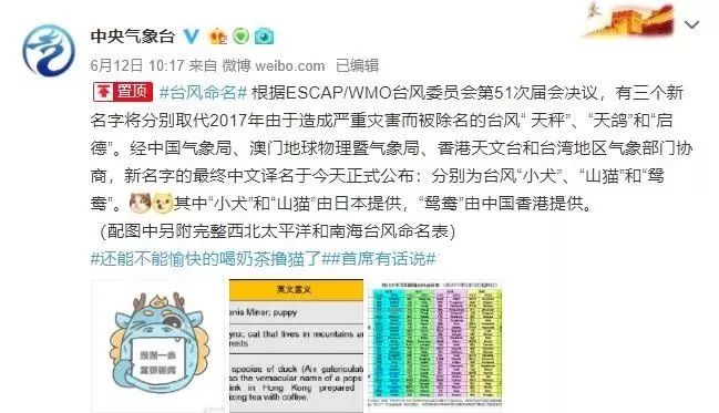 新澳門(mén)必中三肖三碼三期必開(kāi)劉伯，揭秘彩票背后的秘密與策略，揭秘彩票背后的秘密與策略，劉伯的新澳門(mén)三期必開(kāi)三肖三碼預(yù)測(cè)技巧
