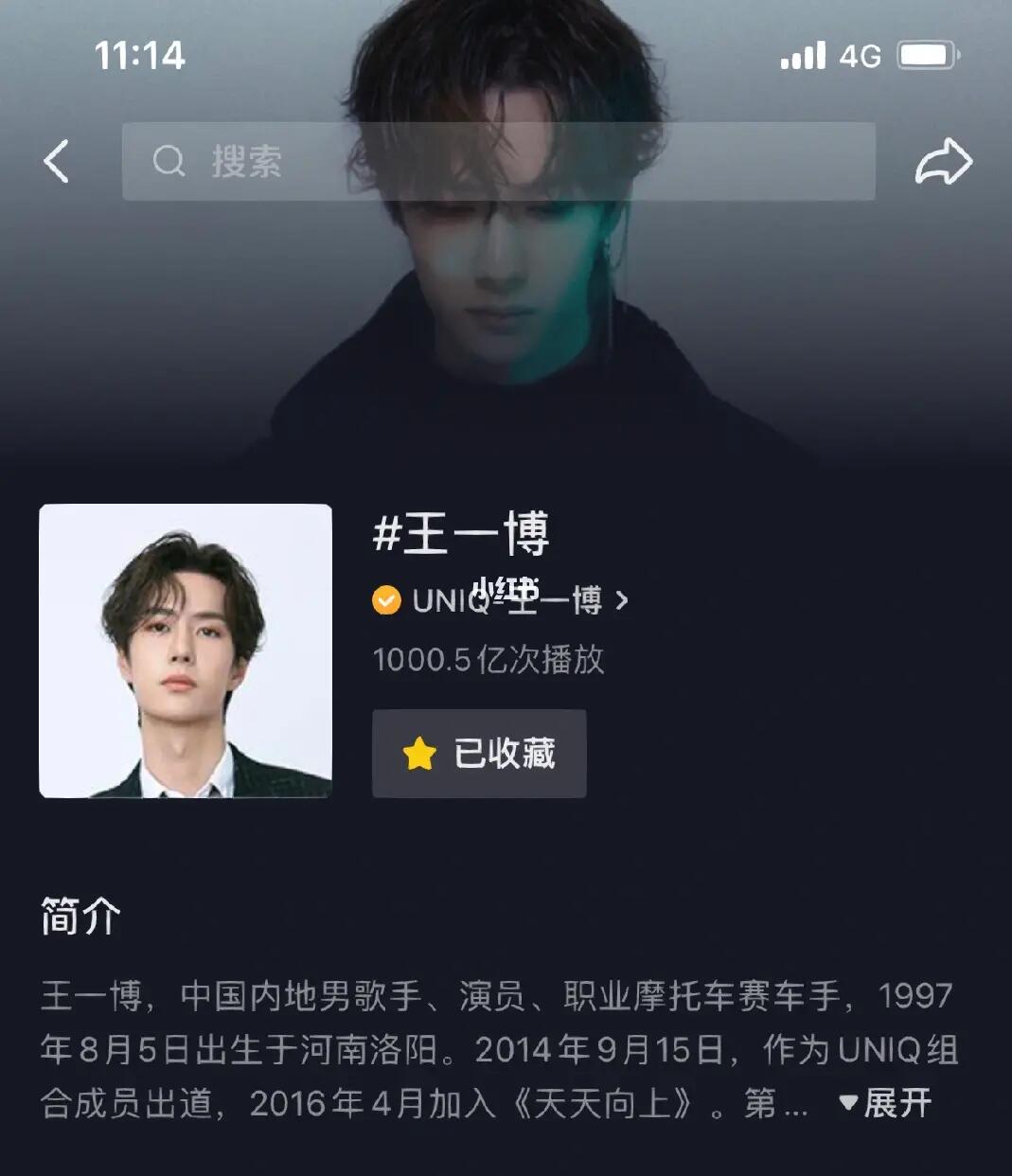 王中王一肖內(nèi)部資料詳解，王中王一肖內(nèi)部資料深度解析